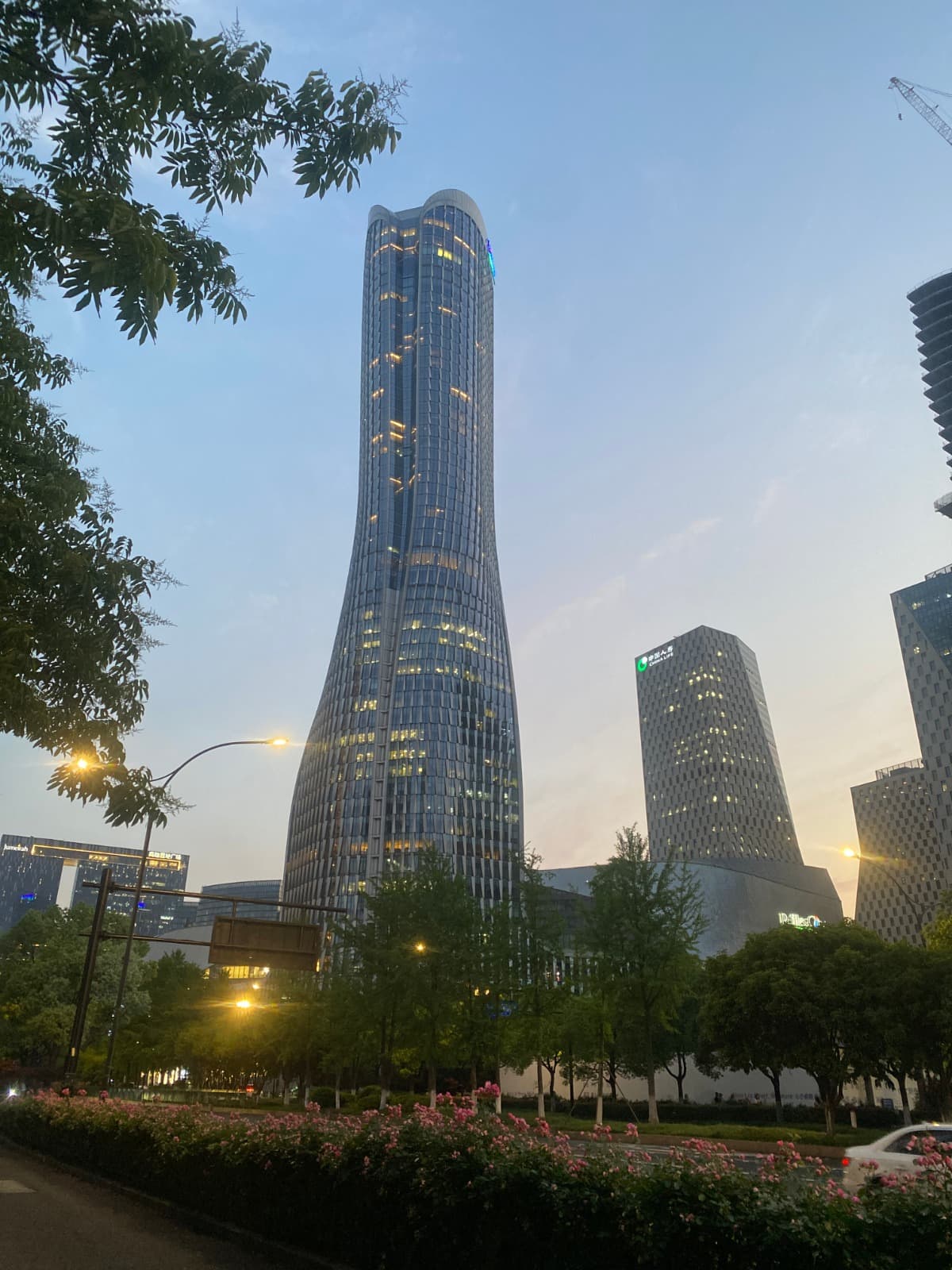 Ibsoft General Consultants Team